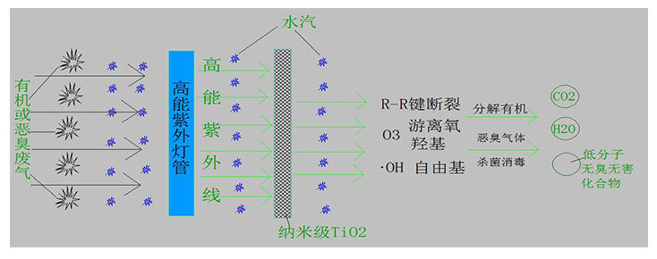 有机废气怎么处理才能达标？